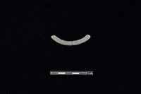 陶環藏品圖，第2張